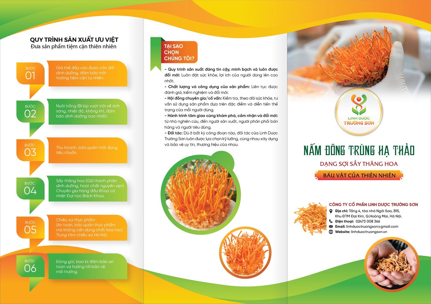 Bộ sản phẩm đông trùng hạ thảo Linh Dược Trường Sơn