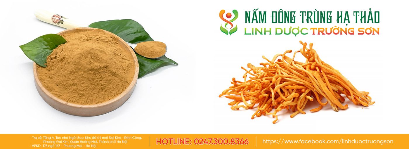 Công nghệ sấy thăng hoa đông trùng hạ thảo