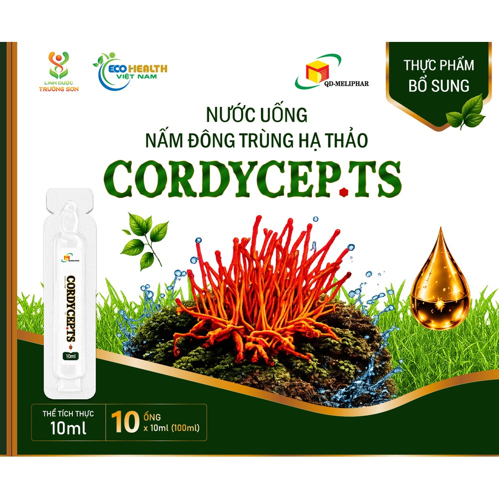 Nước uống nấm đông trùng hạ thảo CORDYCEP.TS hộp 10 ống