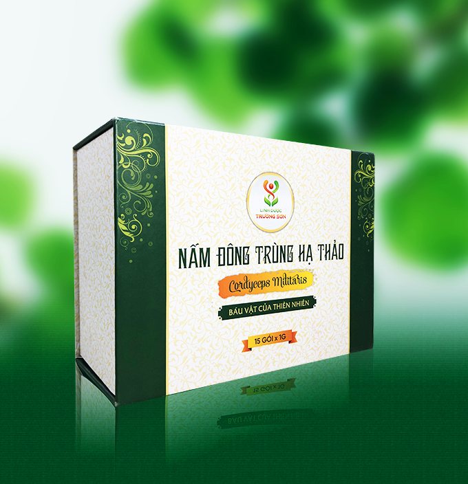 Đông trùng hạ thảo sợi sấy thăng hoa 15 gram